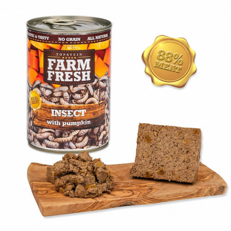 Farm Fresh Insect with Pumpkin