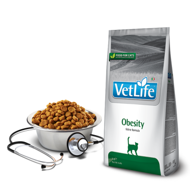 Farmina Vet Life Cat Obesity 400 g