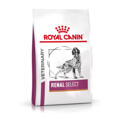 Royal Canin VHN Dog Renal Select 10 KG