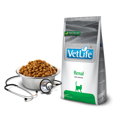 Farmina Vet Life Cat Renal 2 kg