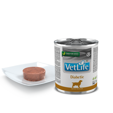 Farmina Vet Life dog diabetic konzerva 300 g