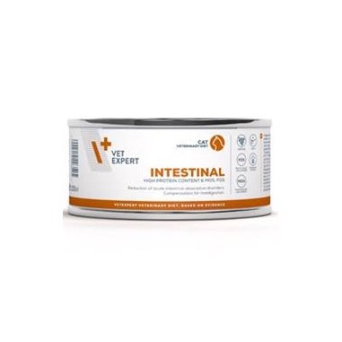 VetExpert VD cat 4T Intestinal konzerva 100 g